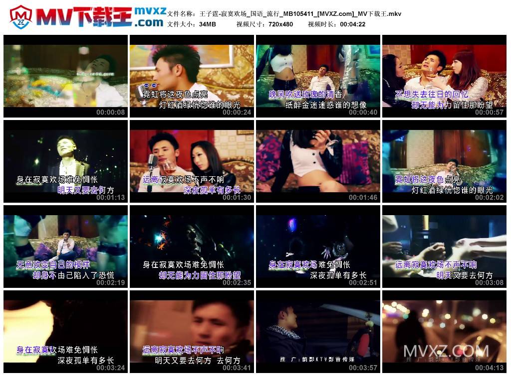 王子霆-寂寞欢场_国语_流行_MB105411